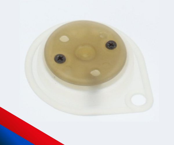 Membrana Oval (E) Membrana Oval (E)
